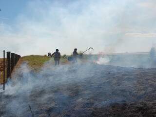 Dois bombeiros trabalham com abafadores no combate a queimada.(Francisco Júnior).