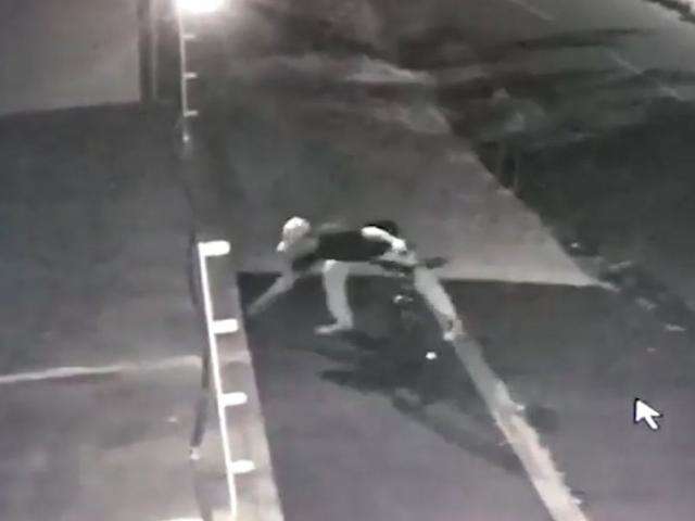 C&acirc;meras de seguran&ccedil;a flagram rapaz jogando veneno para c&atilde;es