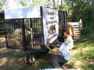 Carreta foi reformada e preparada para acomodar o animal durante a viagem. (Foto: Rancho dos Gnomos)