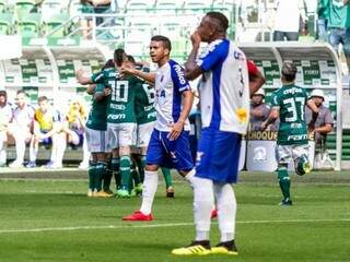 Jogadores do Palmeiras comemoram resultado elástico contra o Paraná (Foto: Divulgação)