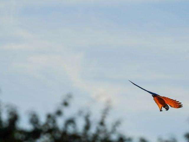 Sexta-feira ser&aacute; de tempo seco, sem chuvas e m&aacute;xima de 35&ordm;C em MS