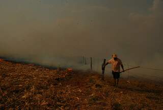 Cerca de 100 hectares ficaram destruídos. (Foto:Washington Lima / Fátima News)
