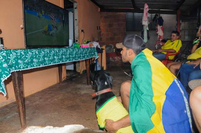 Conhe&ccedil;a Tekila, a cadelinha que &quot;torce&quot; pelo Brasil de verde e amarelo