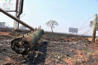 Em fazenda de Campo Grande, incêndio devorou 150 hectares na terça-feira. (Foto: Henrique Kawaminami)