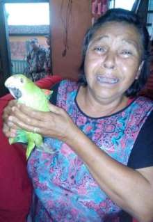 Após 22 anos com “Guri”, família faz rifa para Maria reencontrar papagaio