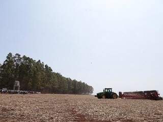 Plantação de soja em Mato Grosso do Sul (Foto: Divulgação/Aprosoja)