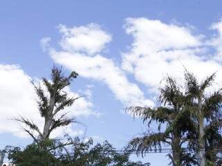 Céu com poucas nuvens e baixa umidade do ar em Campo Grande (Foto: Kísie Ainoã)