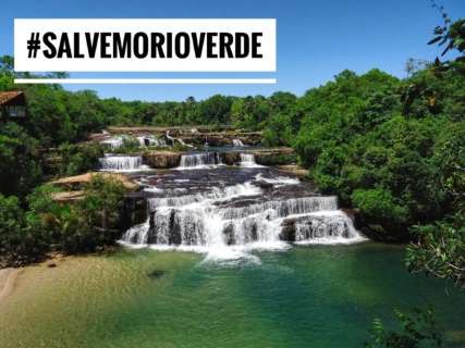 Petição reúne mil assinaturas contra desmatamento na região do Rio Verde