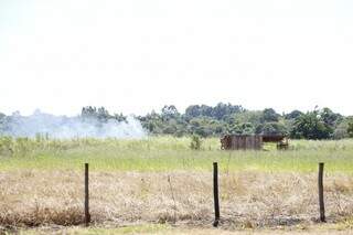 Moradores denunciam que índios queimam lavouras e vegetação (Foto: Helio de Freitas)