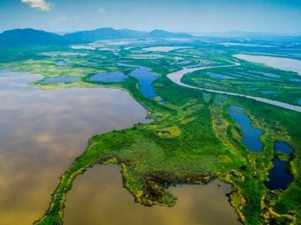 Recuperar áreas degradadas no Pantanal vai custar R$ 3,9 bilhões