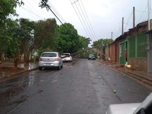 &quot;Mini ciclone&quot; arranca sete postes de energia e &aacute;rvores no Z&eacute; Pereira