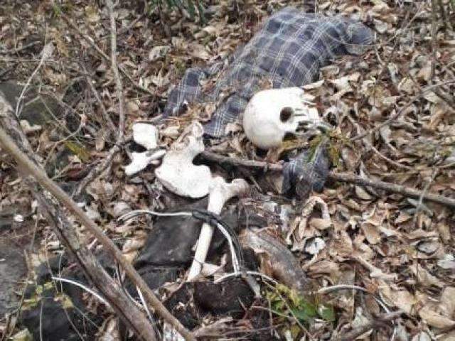 Ossada humana &eacute; encontrada por catadores de lenha no alto de morro 
