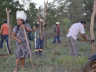 Índios permanecem nas fazendas deste segunda-feira (Foto: O Pantaneiro)