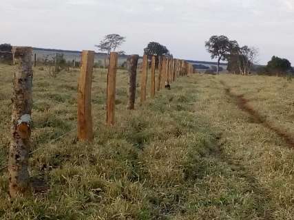 Satélite flagra área desmatada e fazendeiro é multado em R$ 40 mil