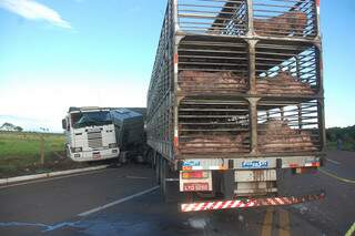Carreta cheia de porcos atingiu caminhão caçamba. Foto: Simão Nogueira
