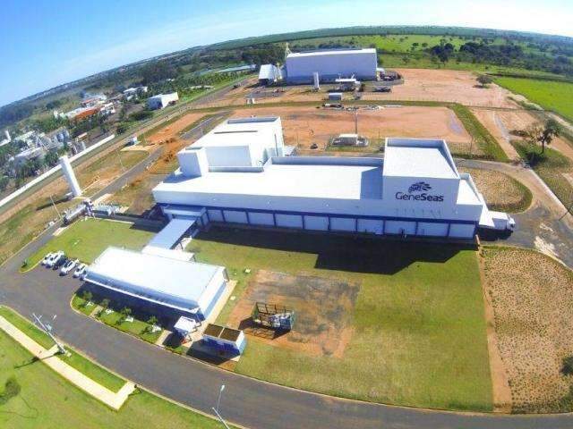 Frigor&iacute;fico de peixes inaugurado em abril estuda amplia&ccedil;&atilde;o para 2018