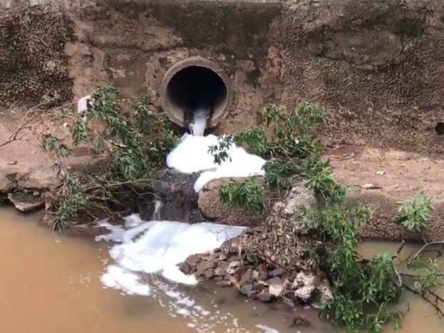 Imagens mostram &aacute;gua polu&iacute;da despejada em c&oacute;rrego da Ricardo Brand&atilde;o