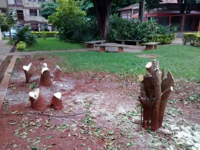Poda radical de &aacute;rvores gera revolta e pol&ecirc;mica em condom&iacute;nio da Capital