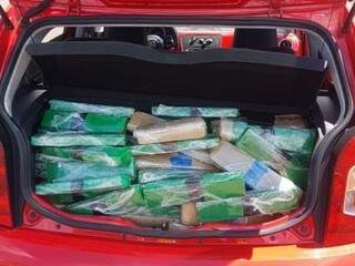 Carga estava dividida em 194 tabletes, encontrados no porta-malas do veículo. (Foto: Divulgação) 