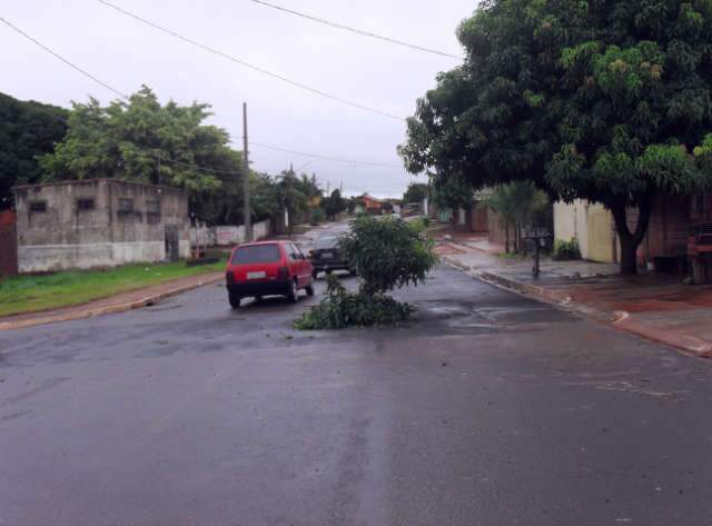  Buraco do &quot;chiqueirinho&quot; ressurge e agora &eacute; preenchido com galhos 