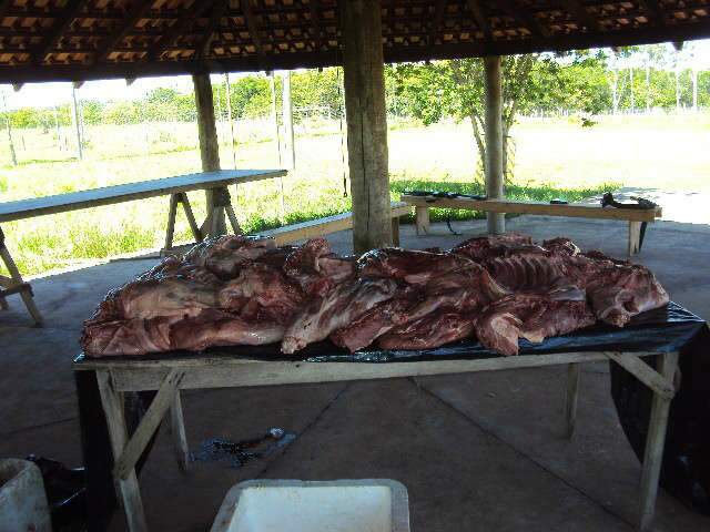  Ca&ccedil;adores fogem ap&oacute;s troca de tiros com policiais da PMA em Bataguassu