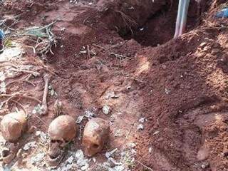 Crânios encontrados em uma vala na zona rural de Bella Vista Norte, na fronteira com MS (Foto: Porã News)
