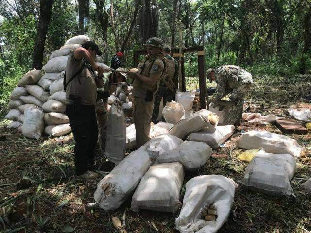 Apreendidas quase 7 toneladas de maconha em acampamentos 