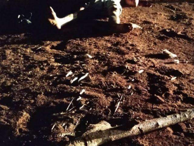 Homem &eacute; assassinado a pauladas ao matar e comer galo de vizinho