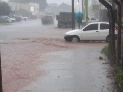  Leitores enviam imagens de estragos da chuva; envie registro do seu bairro