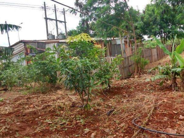 Idoso morre depois de levar choque em liga&ccedil;&atilde;o de energia clandestina