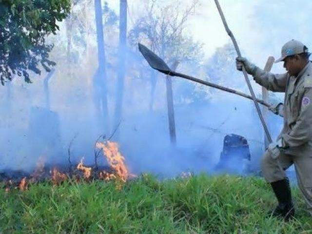 Corpo de Bombeiros registra aumento de 75% nas queimadas em um mês