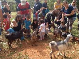 A família vai interagir com os animais (Foto: Divulgação/ Fazendinha MS)