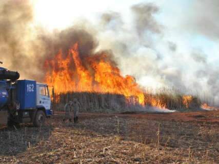  MS teve só ontem 92 incêndios florestais, número recorde em 2011