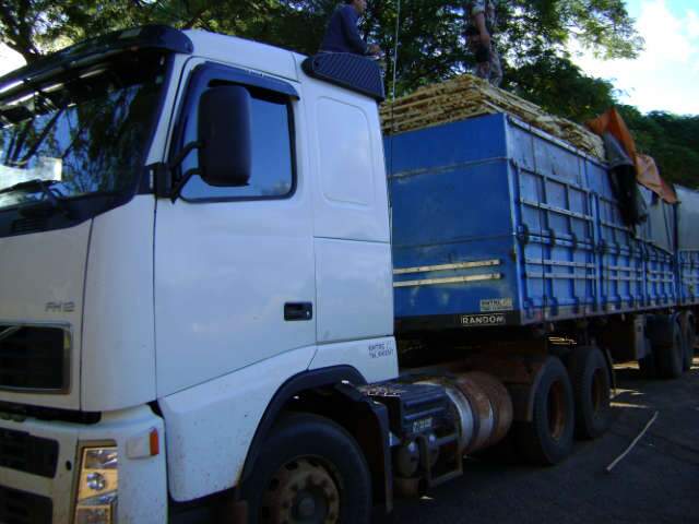  PMA multa motorista em R$ 10 mil por transporte irregular de madeira