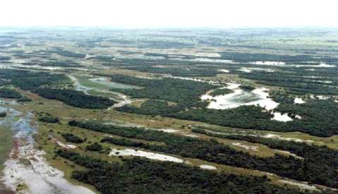 Bacia do Rio Paraná em MS também tem o seu "Pantanal"