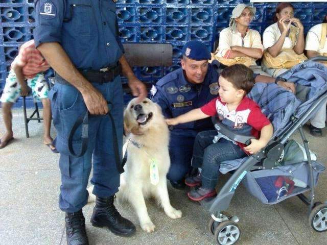 Prefeito da Capital inaugura canil da Guarda Municipal nesta segunda