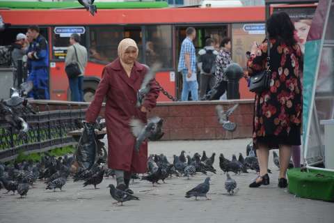 Cheia de pombos, Kazan usa falcões para evitar “batismo" da torcida