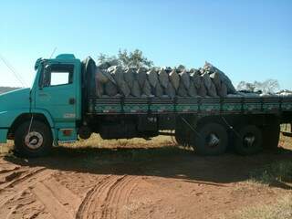 Caminhão carregado com carvão ilegal (Foto: Divulgação)