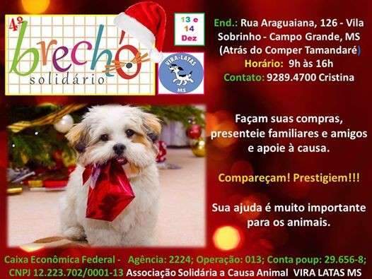 Institui&ccedil;&atilde;o de animais de rua realiza brech&oacute; beneficente no fim de semana