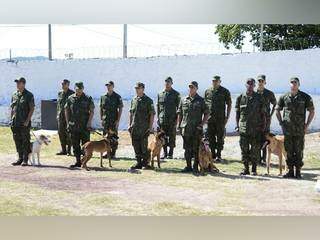 Ao todo, cinco cães integram o Canil Lobão, instalado no 6° Distrito Naval. (Foto: Anderson Gallo/Diário Corumbaense)