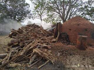 Amontoado de madeira nativa que não poderia ser queimada ao lado de um dos fornos. (Foto: DivulgaçãoPMA)