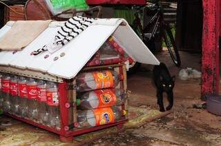 Até a casa do gato é feita de garrafas, com destaque o detalhe das tampinhas de refrigerante no acabamento.