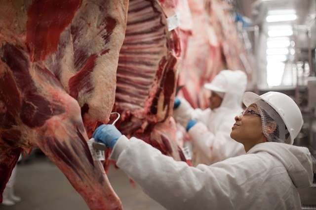 Frigor&iacute;fico re&uacute;ne produtores para discutir programa que valoriza arroba