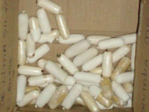  Jovem &eacute; preso com 52 c&aacute;psulas de pasta base no est&ocirc;mago na BR-262