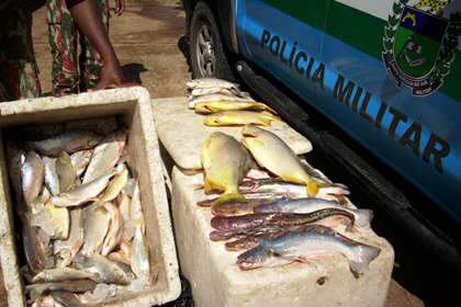  PMA apreende 408 kg de pescado em 2 meses de Piracema 