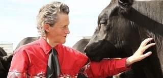 A norte-americana Mary Temple Grandin encontrou no campo a força para conviver com o autismo e hoje é referência no mundo todo em manejo antiestresse (Foto: Rosalie Winward/Colorado State University)