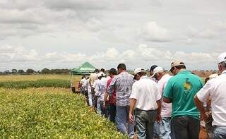 Técnicos percorrem as regiões produtoras para levar informações sobre a soja. (Foto: Famasul)
