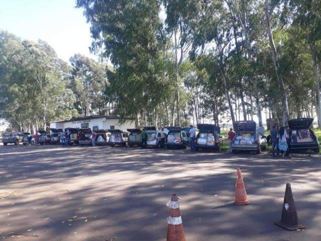 DOF apreende comboio de 14 ve&iacute;culos com contrabando do Paraguai 