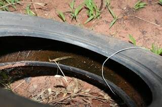 No Jardim Veraneio, pneu velho foi encontrado cheio de larvas do mosquito da dengue. (Foto: Marcelo Victor)