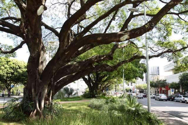 Fundac oficializa tombamento e MPE recorre para manter ciclovia